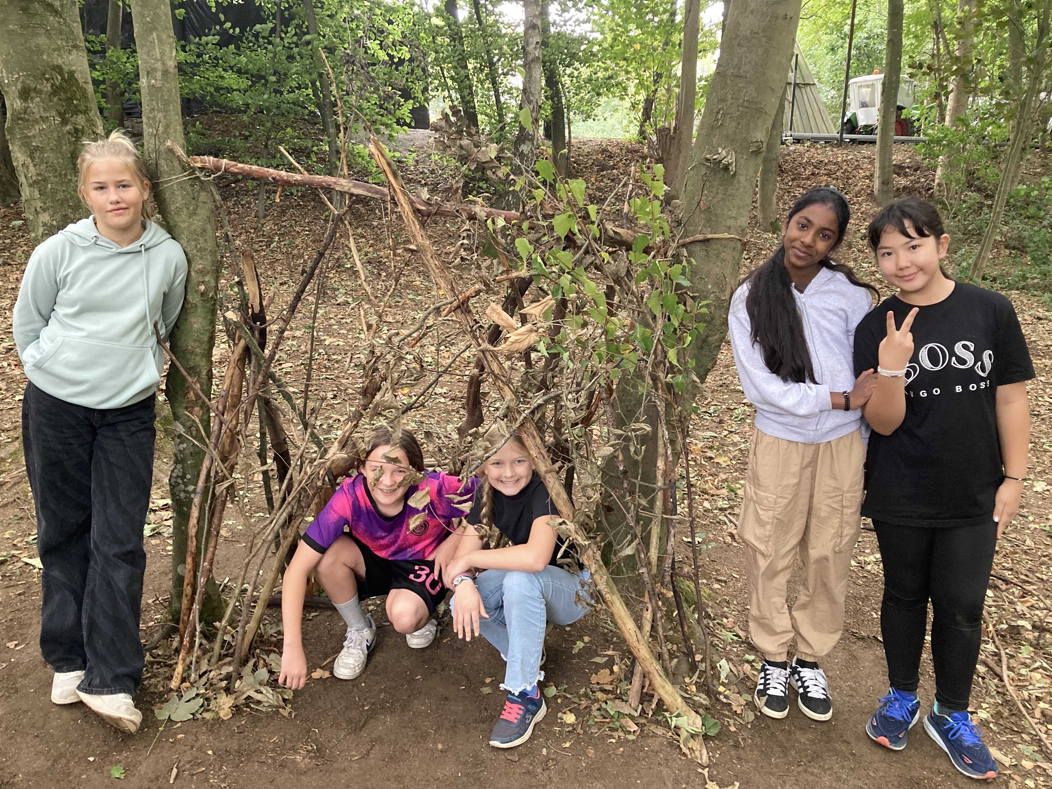 Bild 11 von 12 im Bilderkarussel