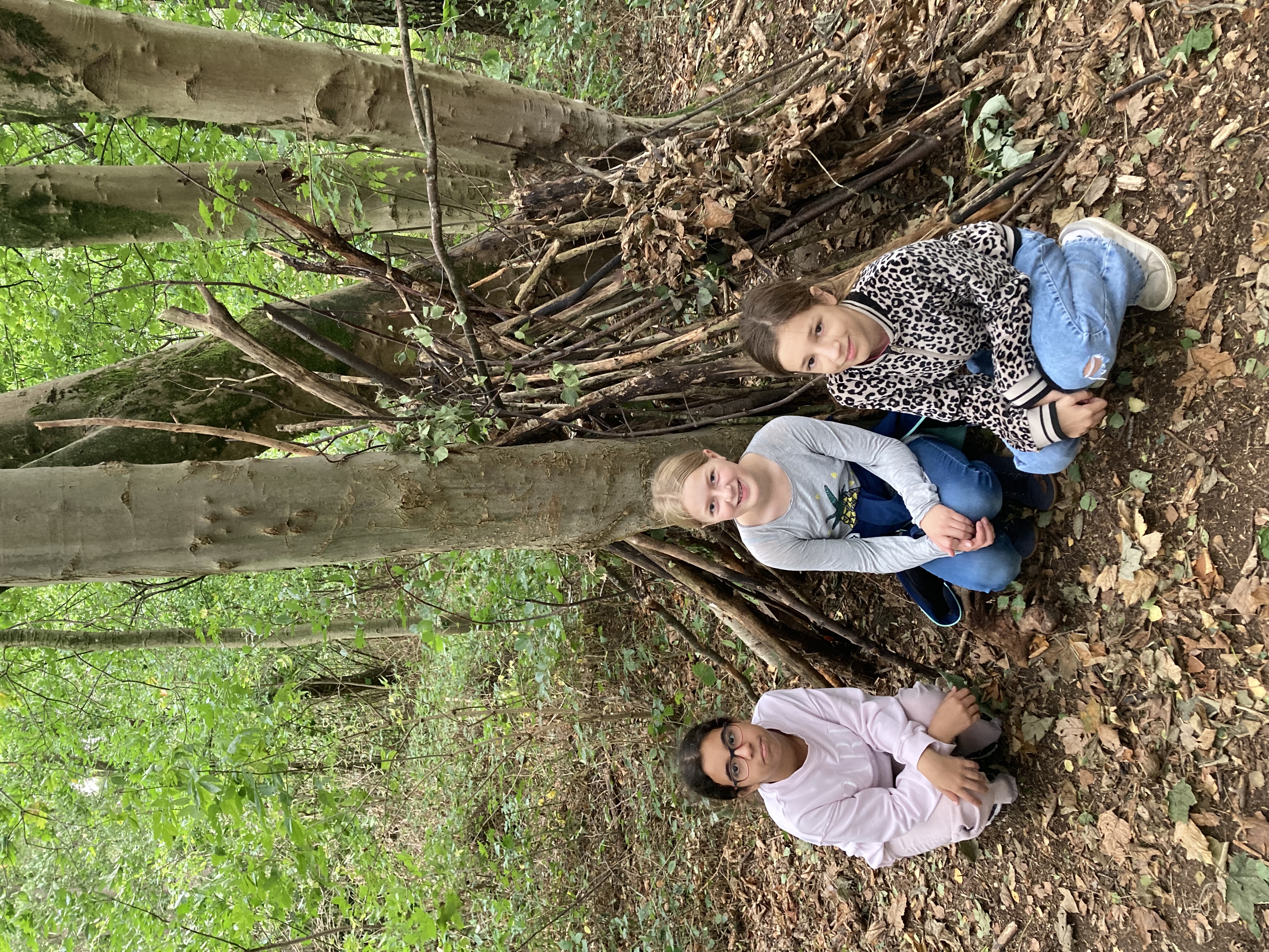 Bild 6 von 12 im Bilderkarussel