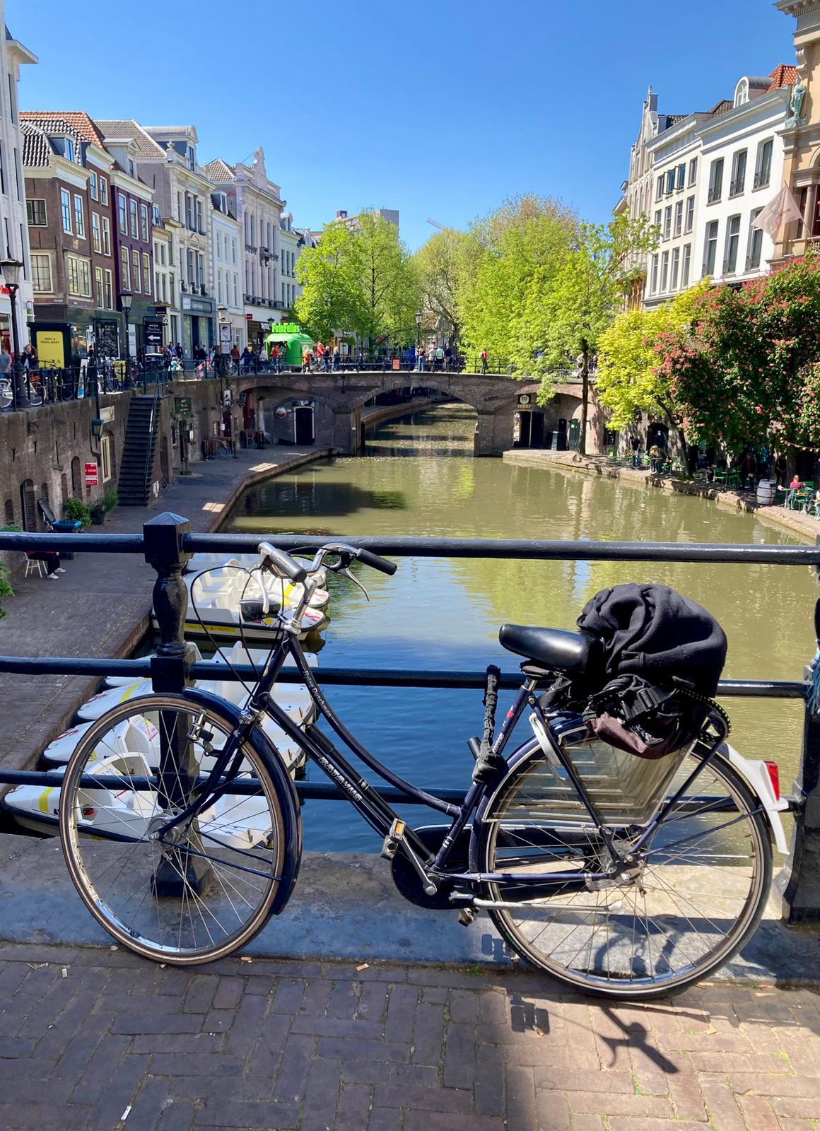 Bild 2 von 6 im Bilderkarussel