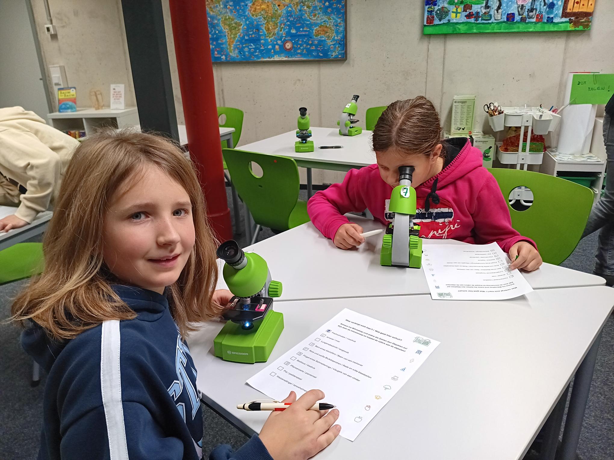 Bild 4 von 9 im Bilderkarussel