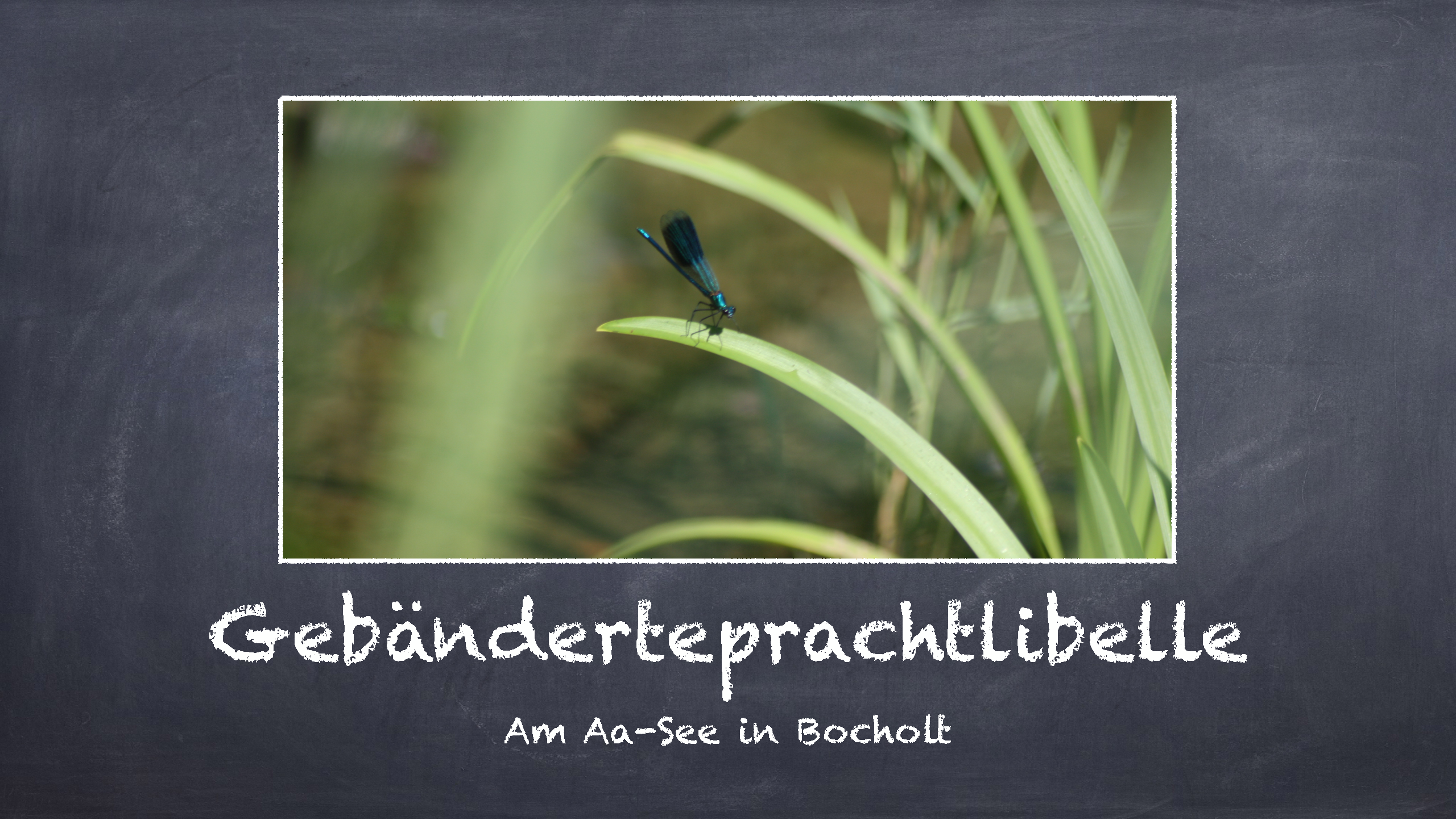 Bild 4 von 16 im Bilderkarussel