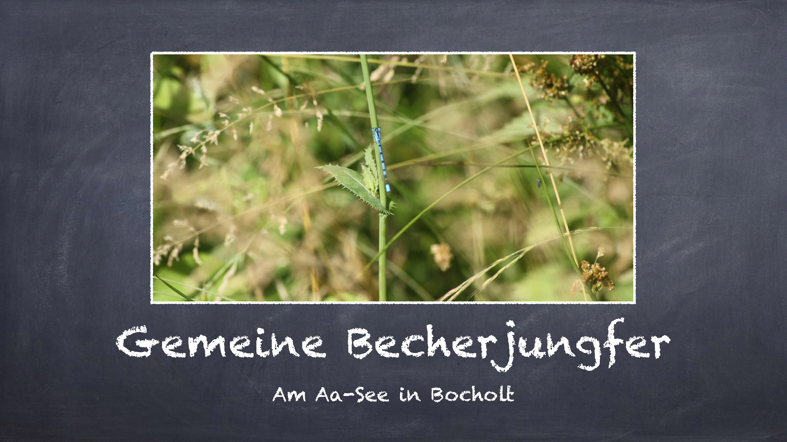 Bild 8 von 16 im Bilderkarussel
