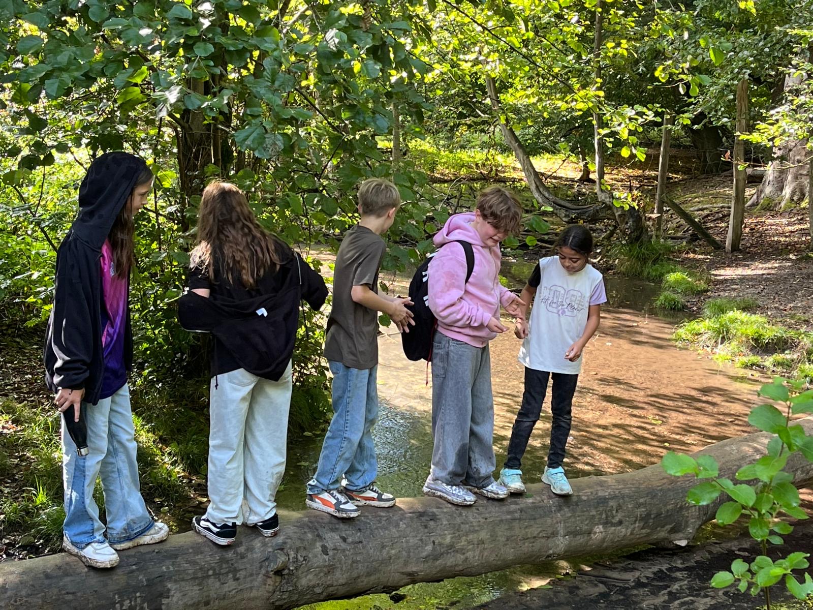 Bild 6 von 14 im Bilderkarussel