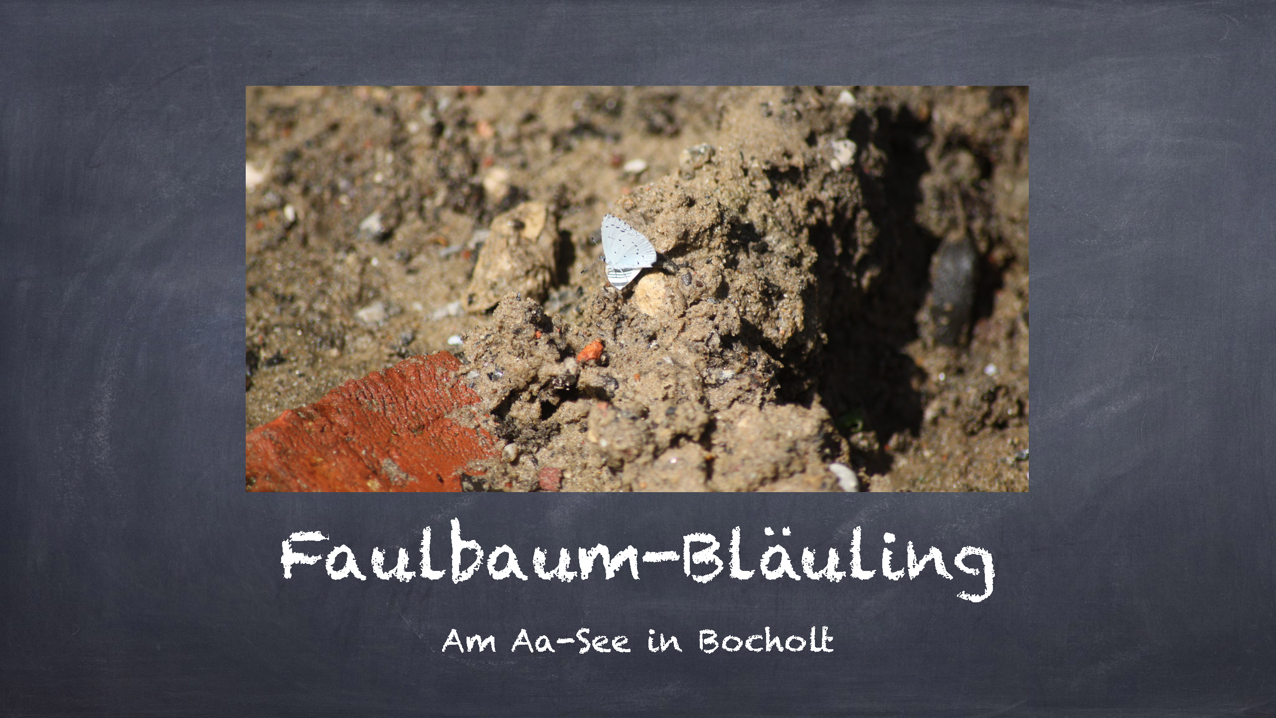 Bild 2 von 16 im Bilderkarussel