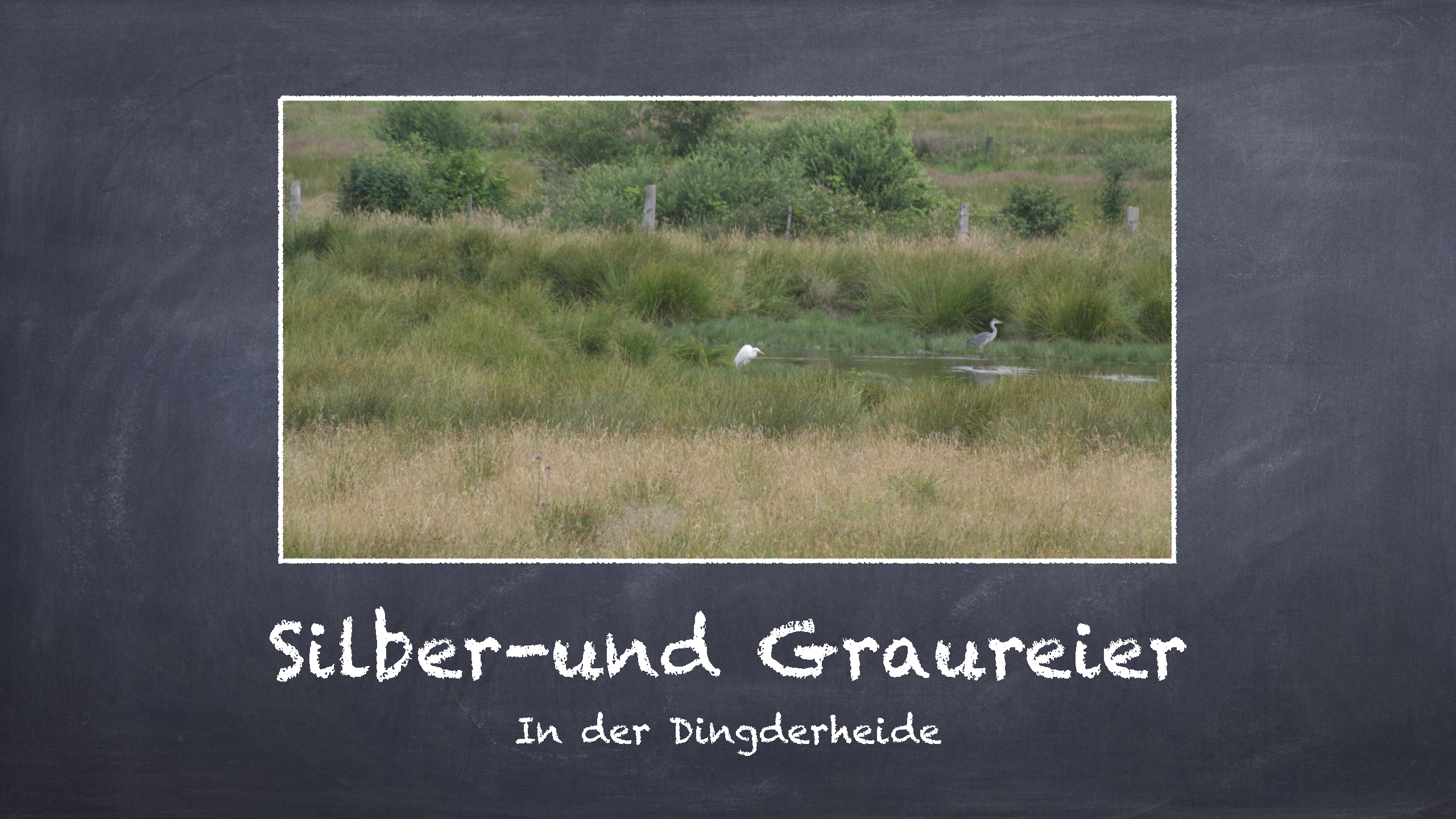 Bild 12 von 16 im Bilderkarussel
