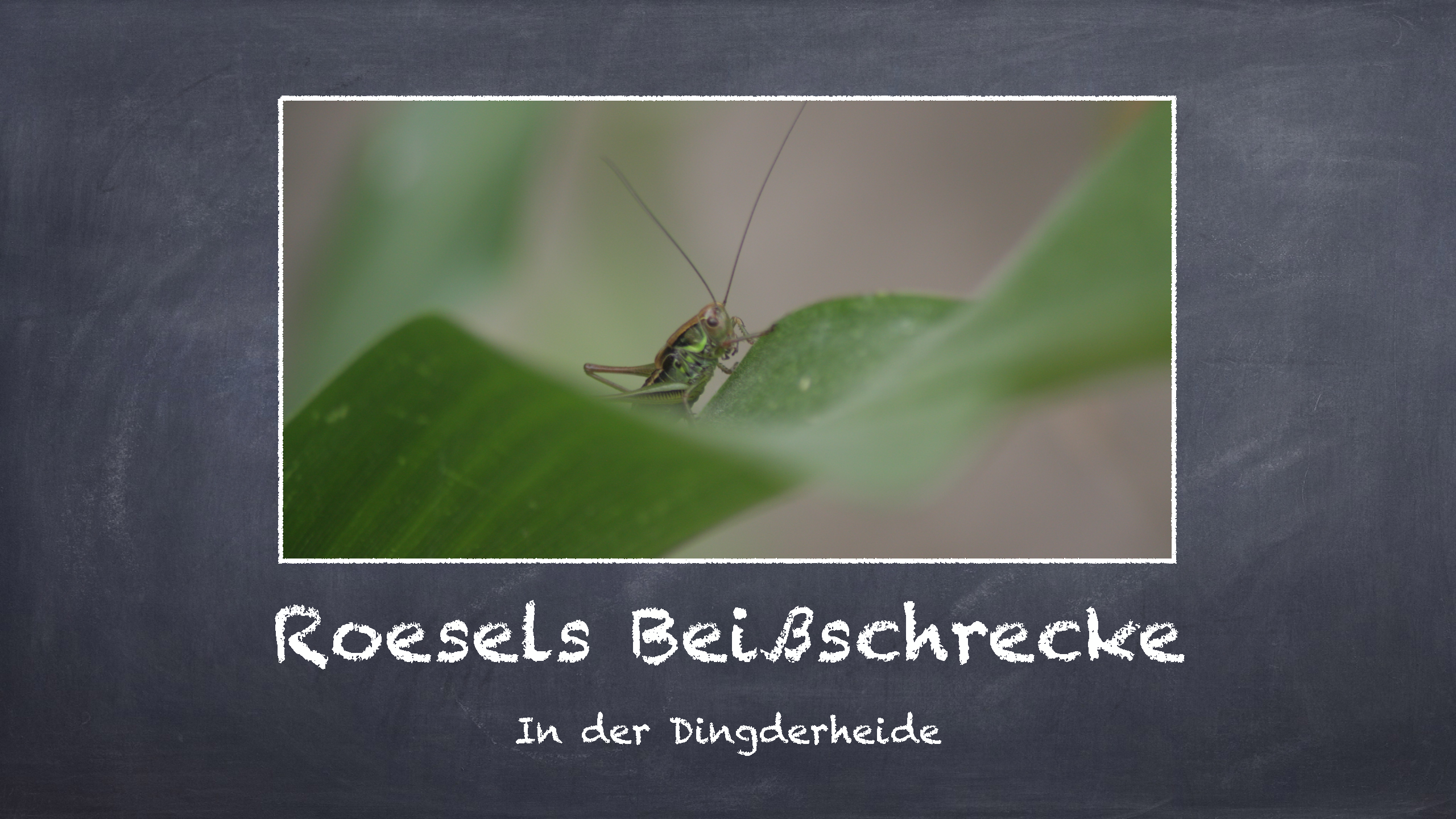 Bild 9 von 16 im Bilderkarussel