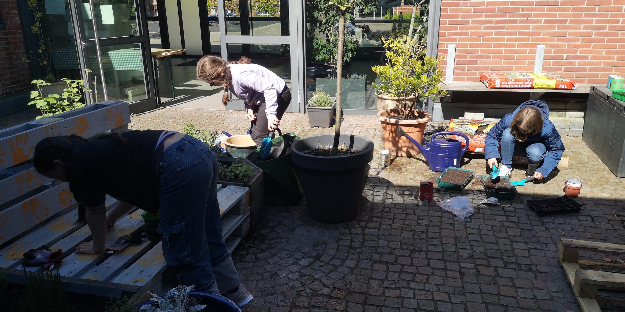 Bild 5 von 6 im Bilderkarussel