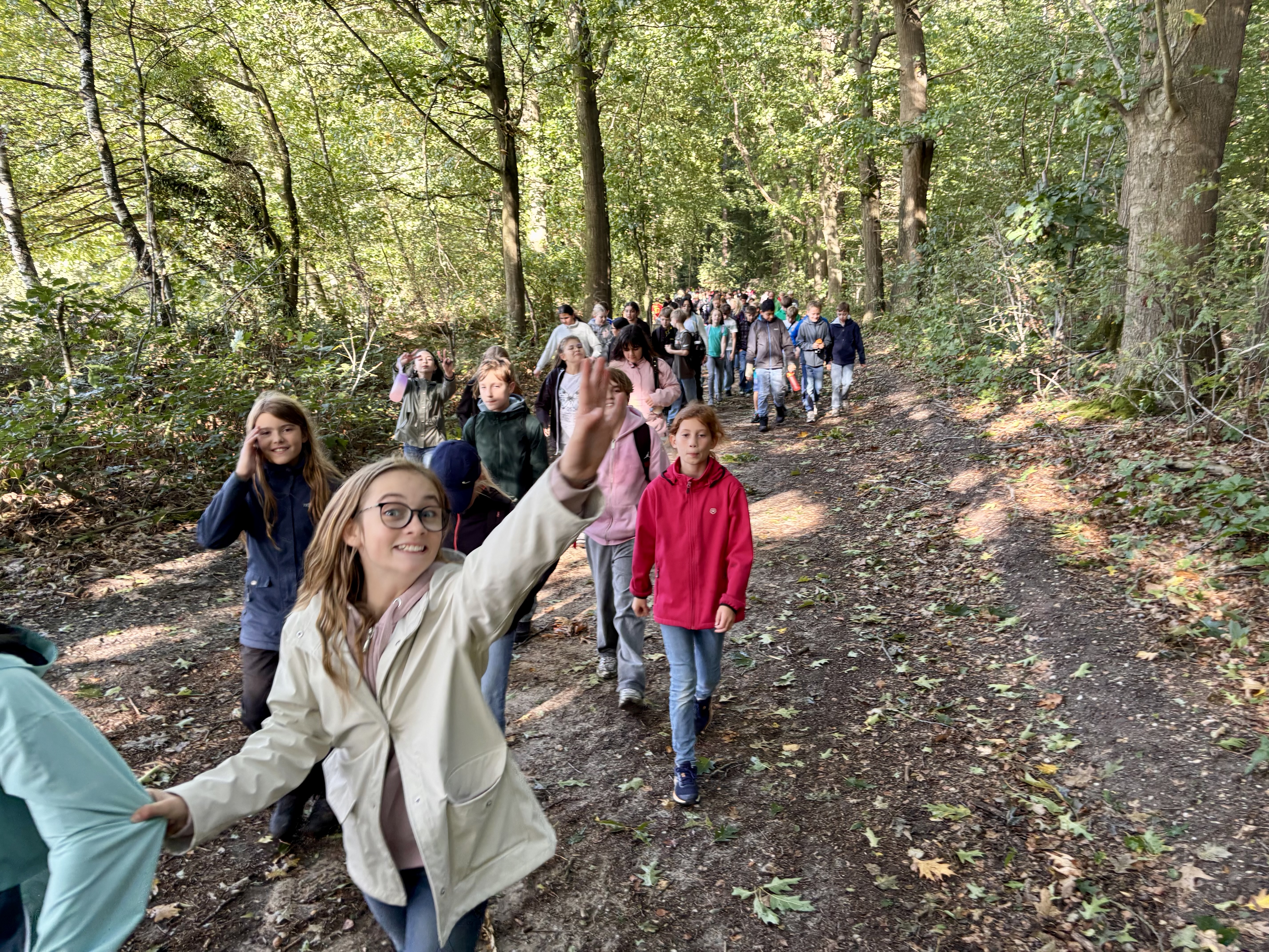 Bild 13 von 14 im Bilderkarussel