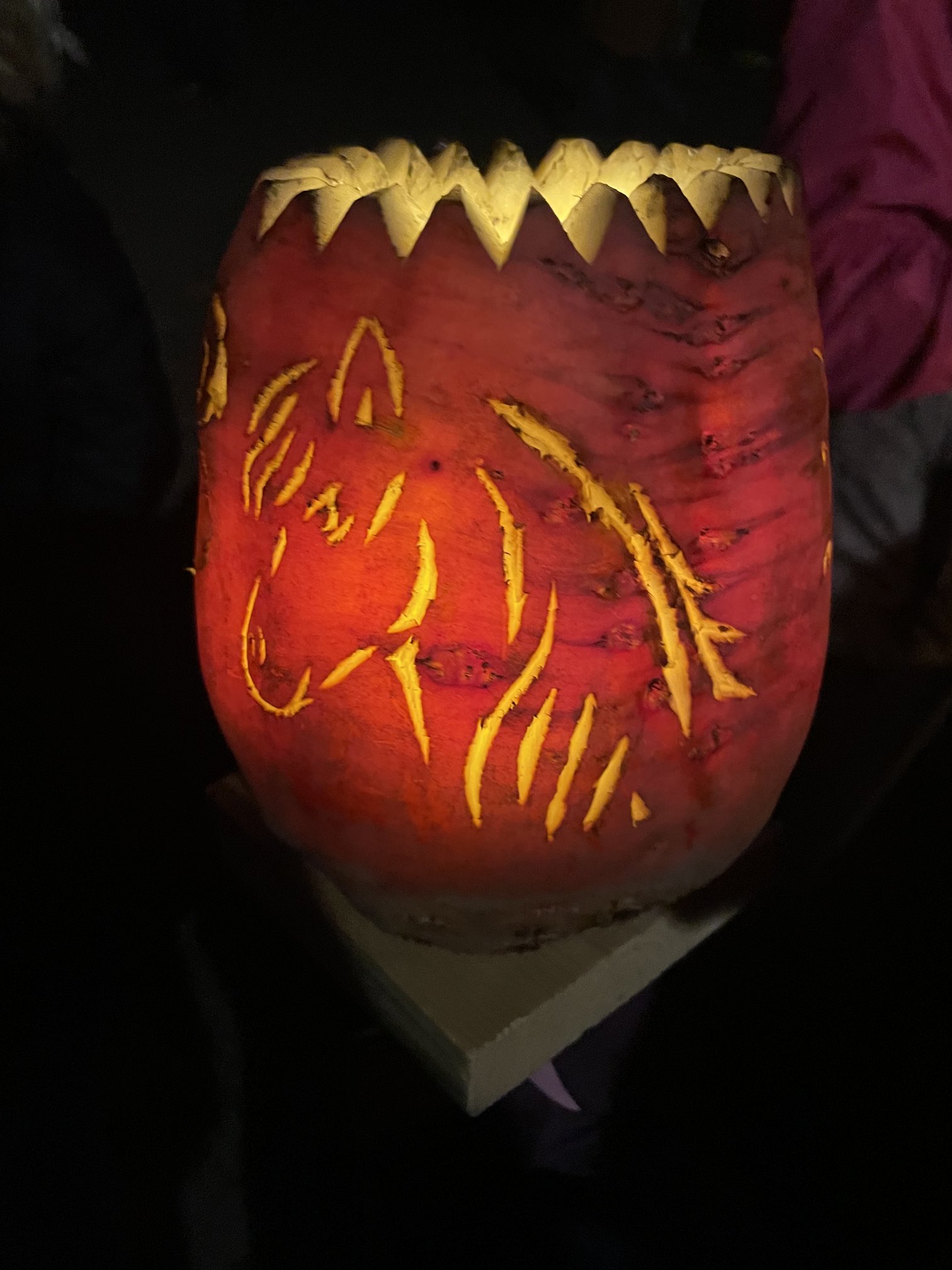 Bild 7 von 11 im Bilderkarussel