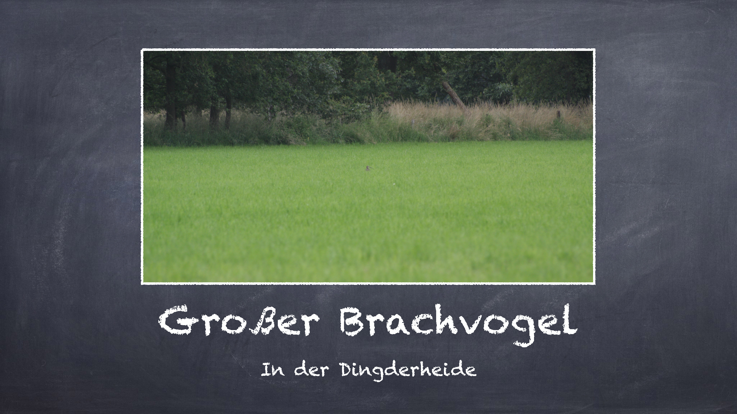 Bild 11 von 16 im Bilderkarussel