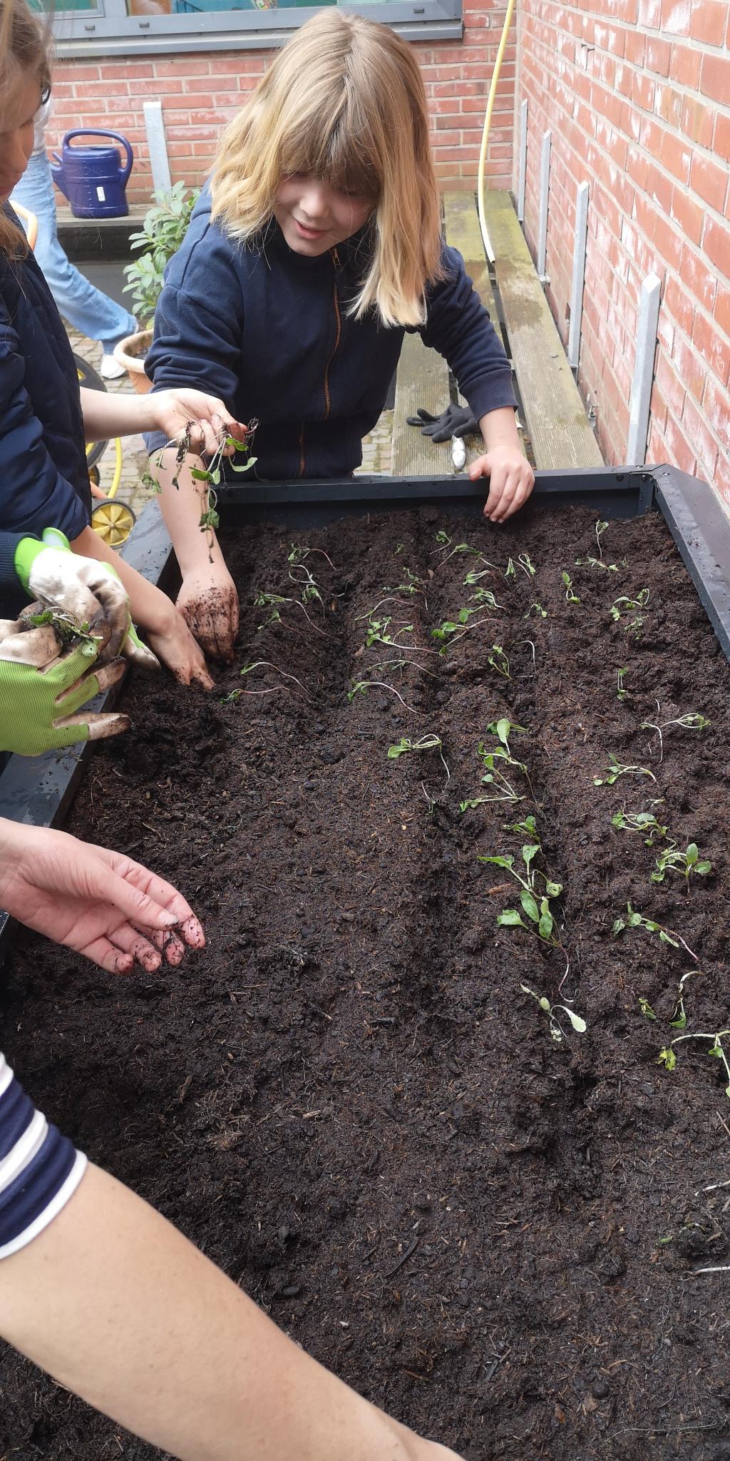 Bild 4 von 6 im Bilderkarussel