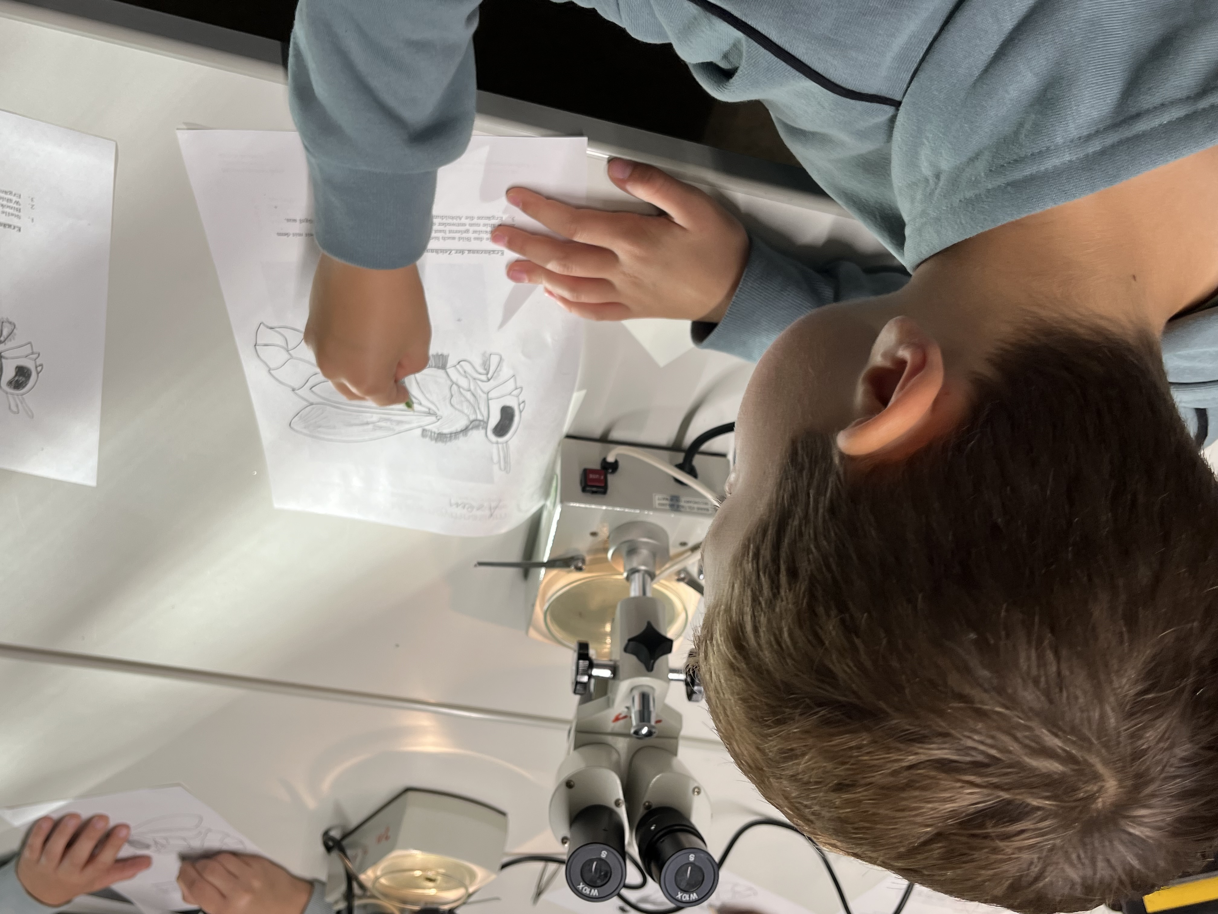 Bild 5 von 8 im Bilderkarussel