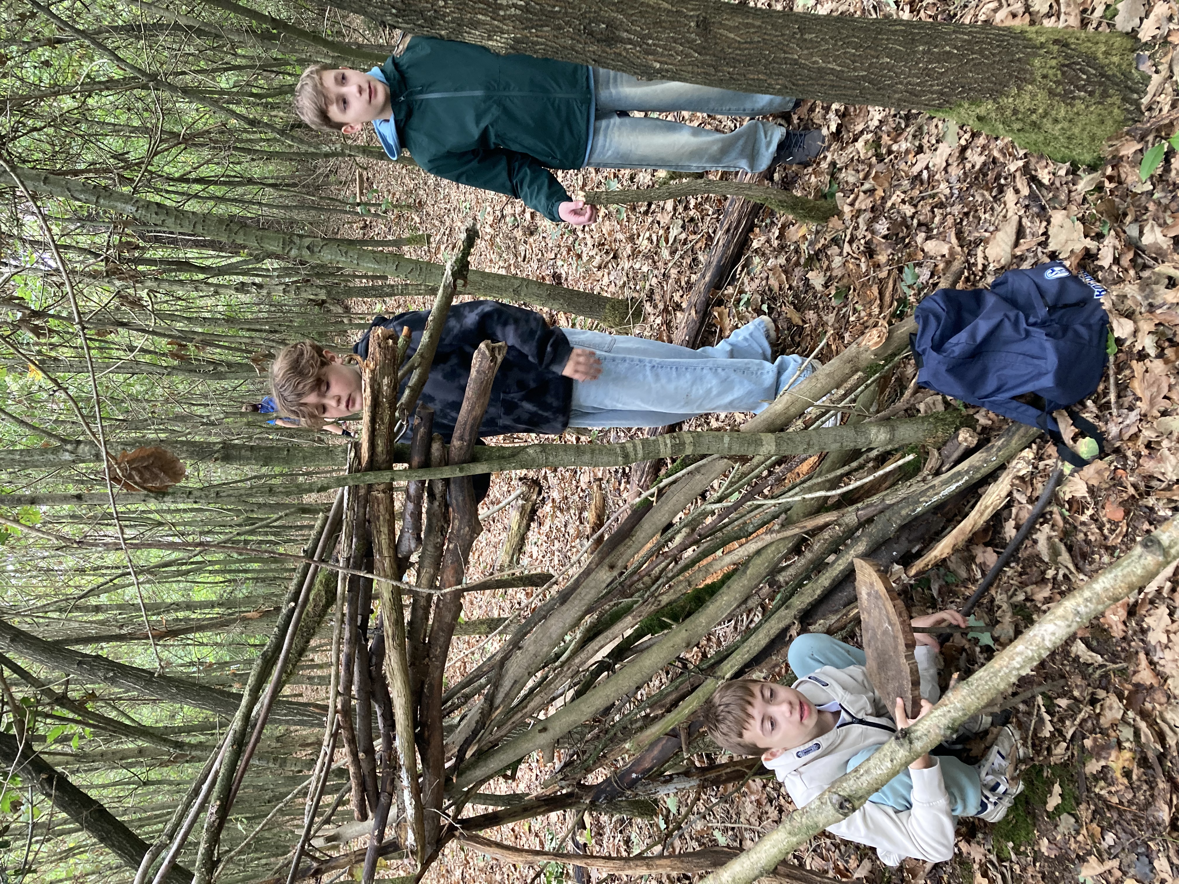 Bild 5 von 12 im Bilderkarussel