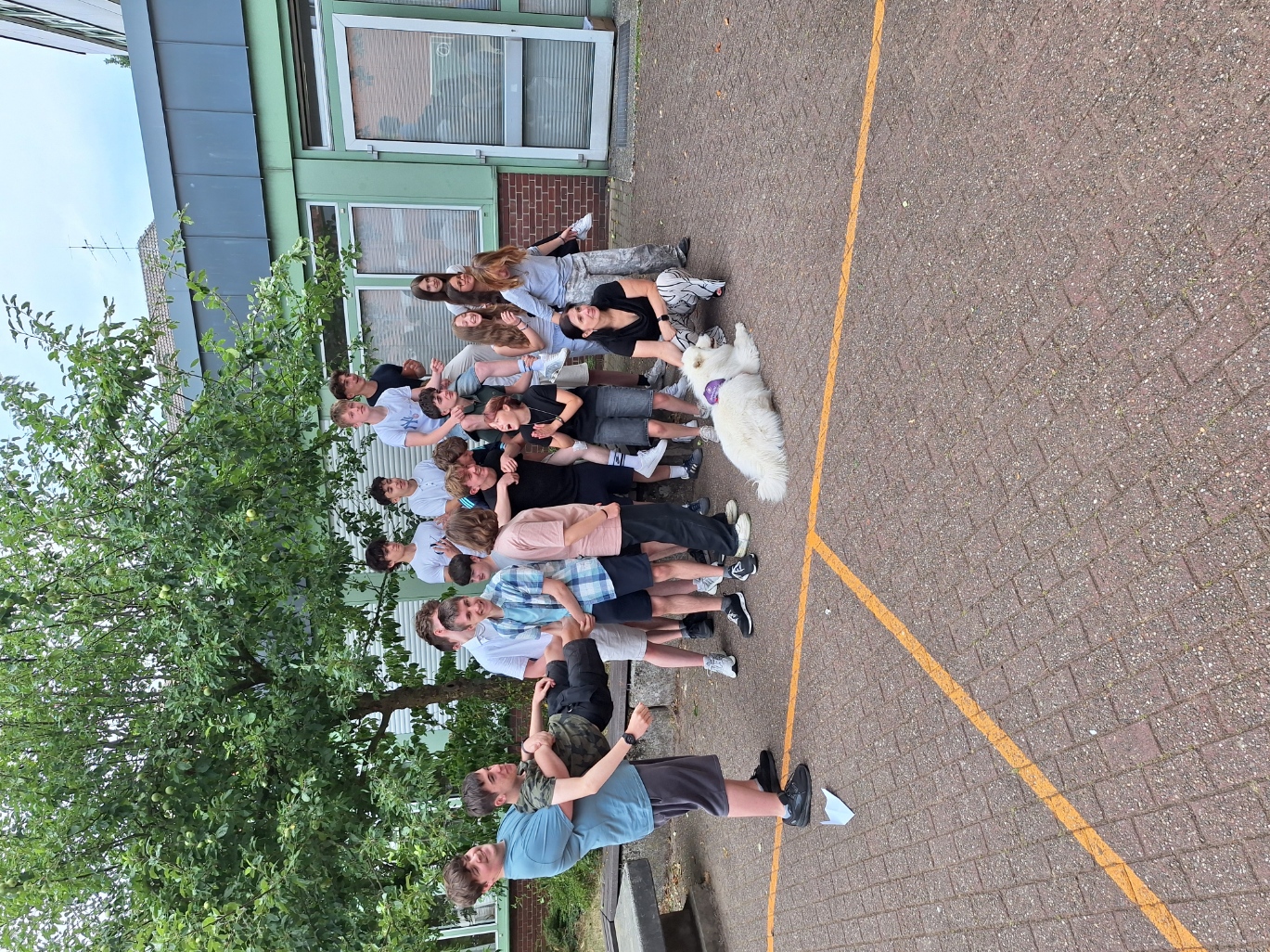 Bild 0 von 4 im Bilderkarussel
