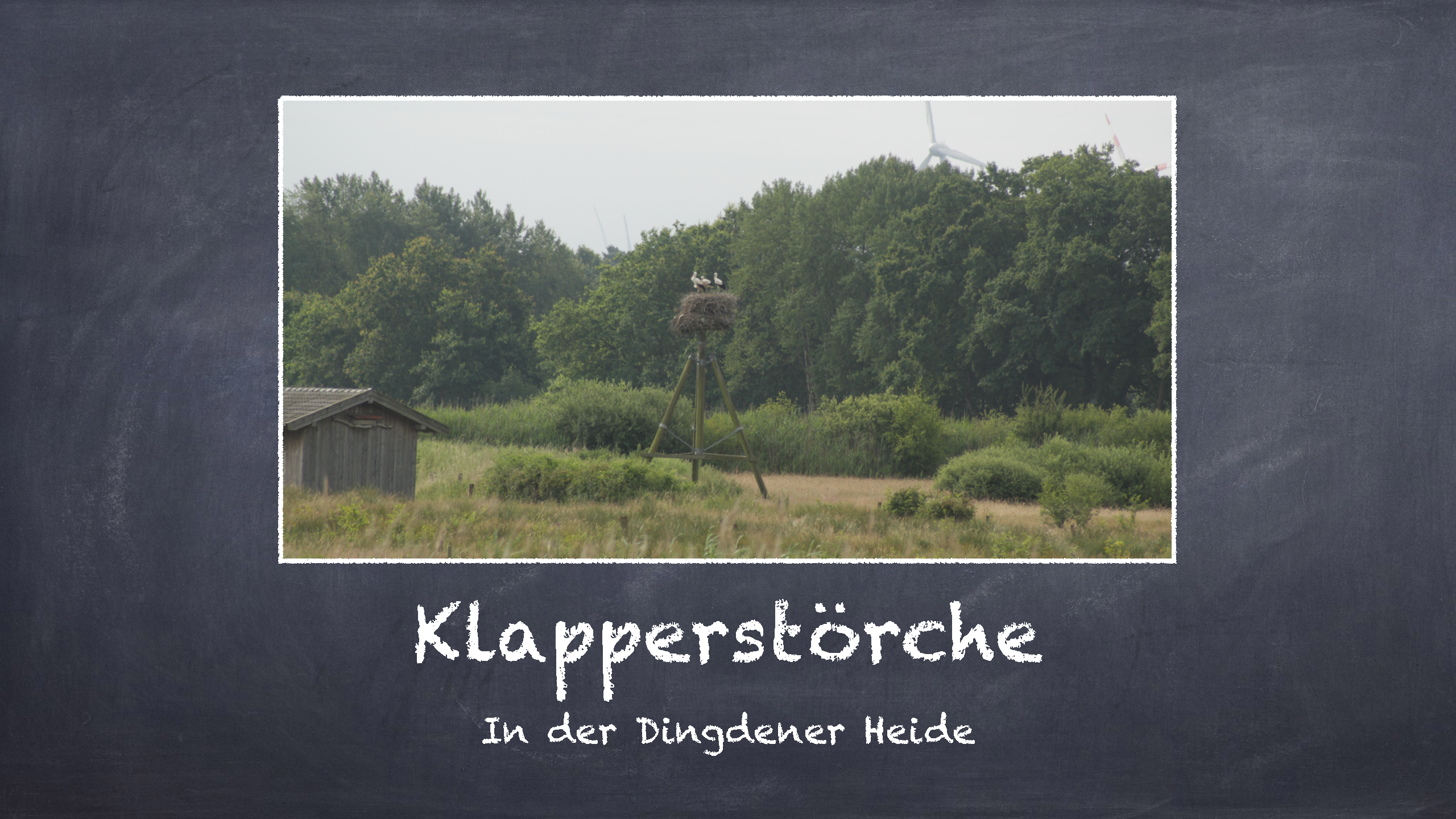 Bild 10 von 16 im Bilderkarussel