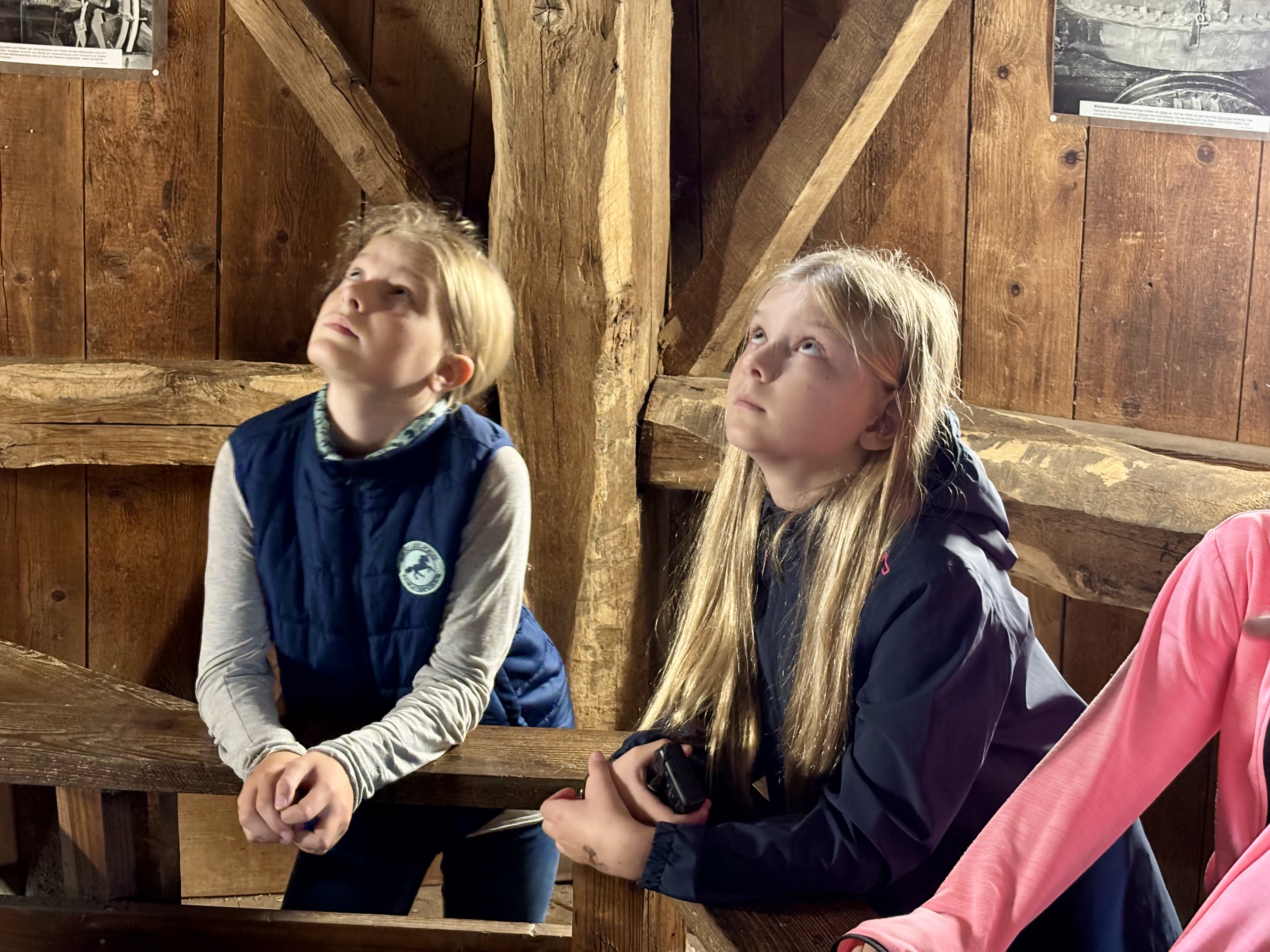 Bild 2 von 14 im Bilderkarussel