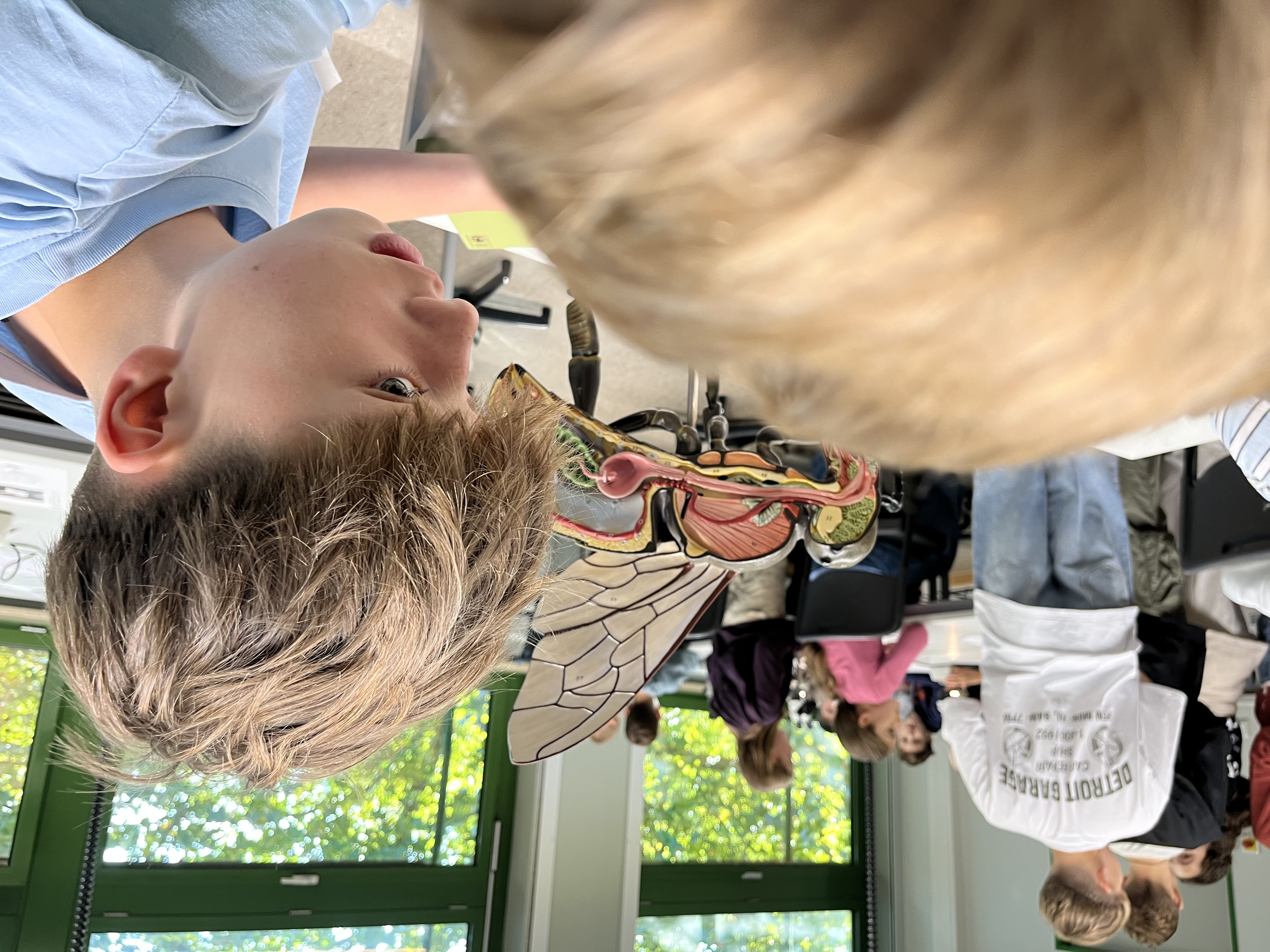 Bild 6 von 8 im Bilderkarussel