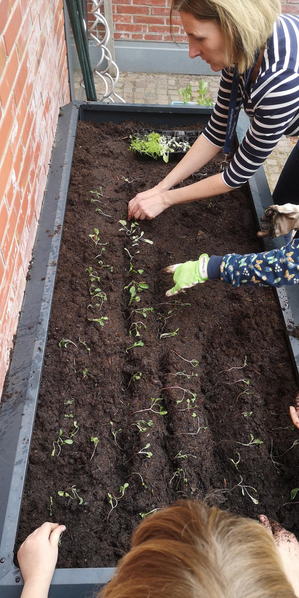 Bild 3 von 6 im Bilderkarussel