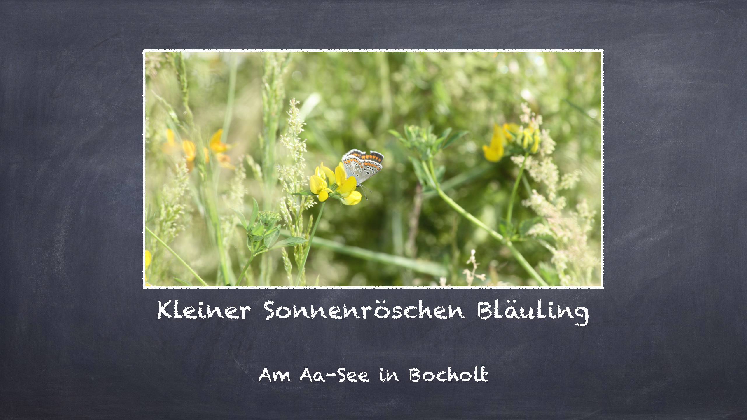 Bild 5 von 16 im Bilderkarussel