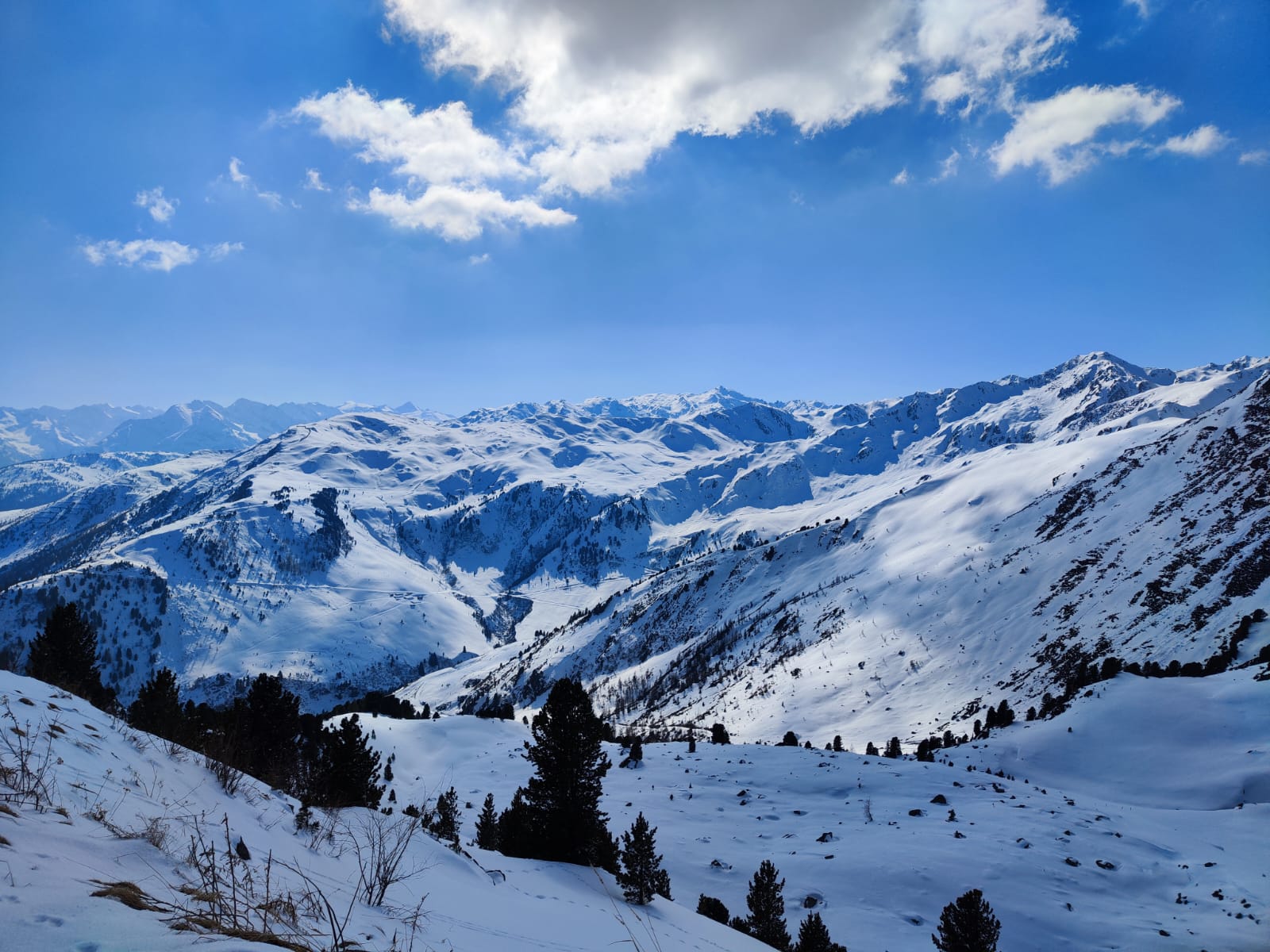 Bild 1 von 8 im Bilderkarussel