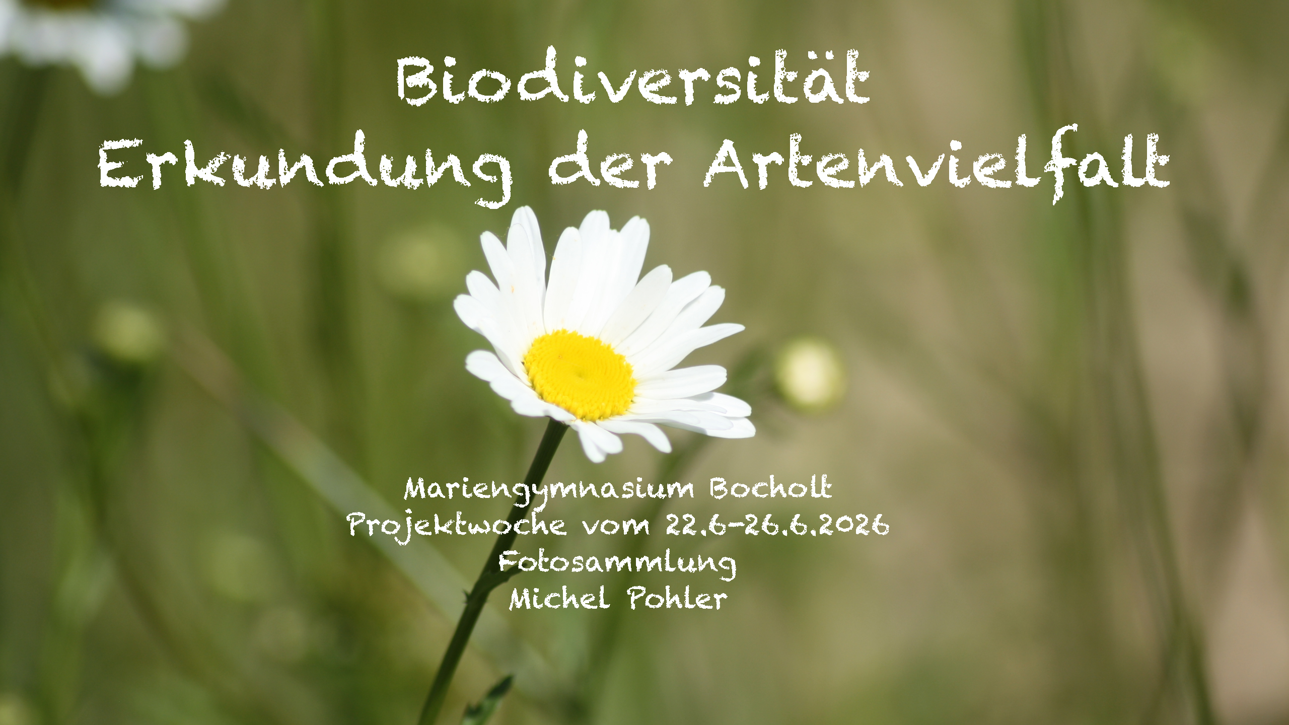 Bild 0 von 16 im Bilderkarussel