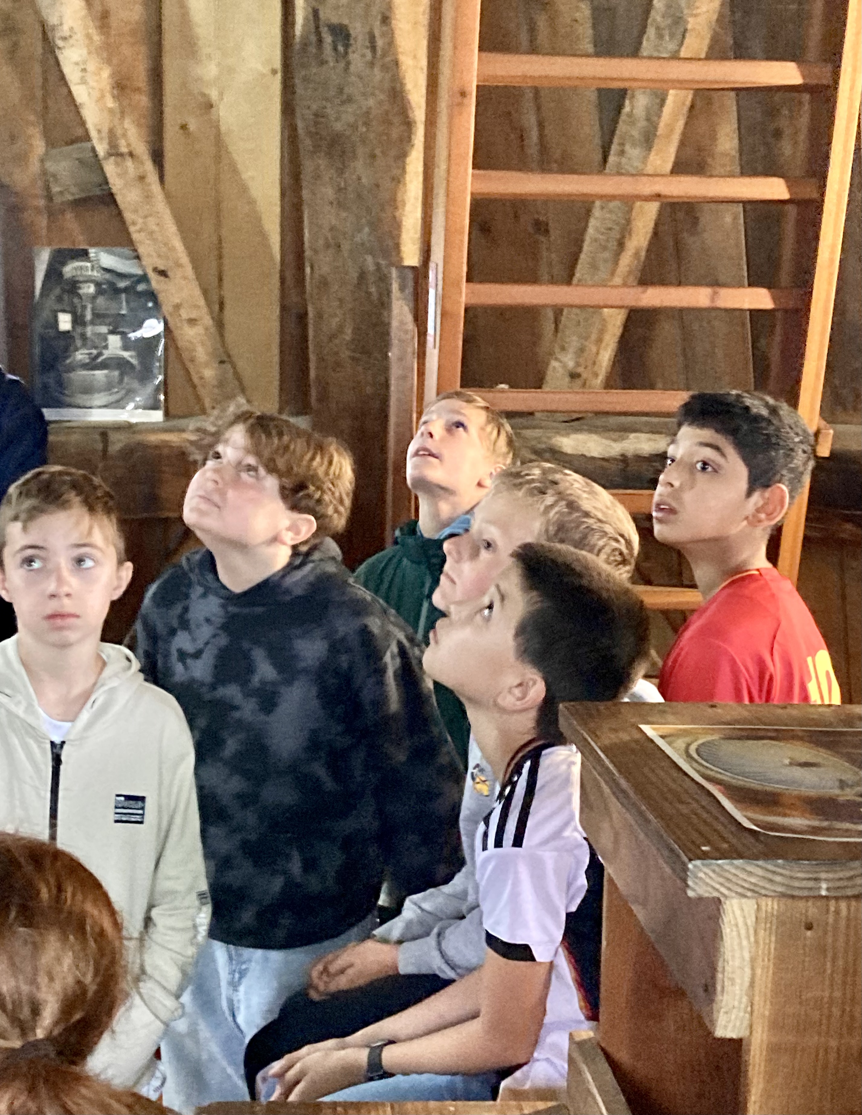 Bild 3 von 14 im Bilderkarussel