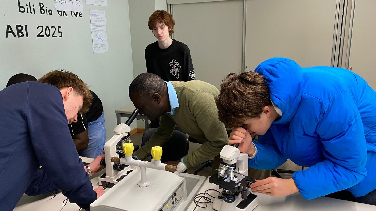 Bild 1 von 5 im Bilderkarussel