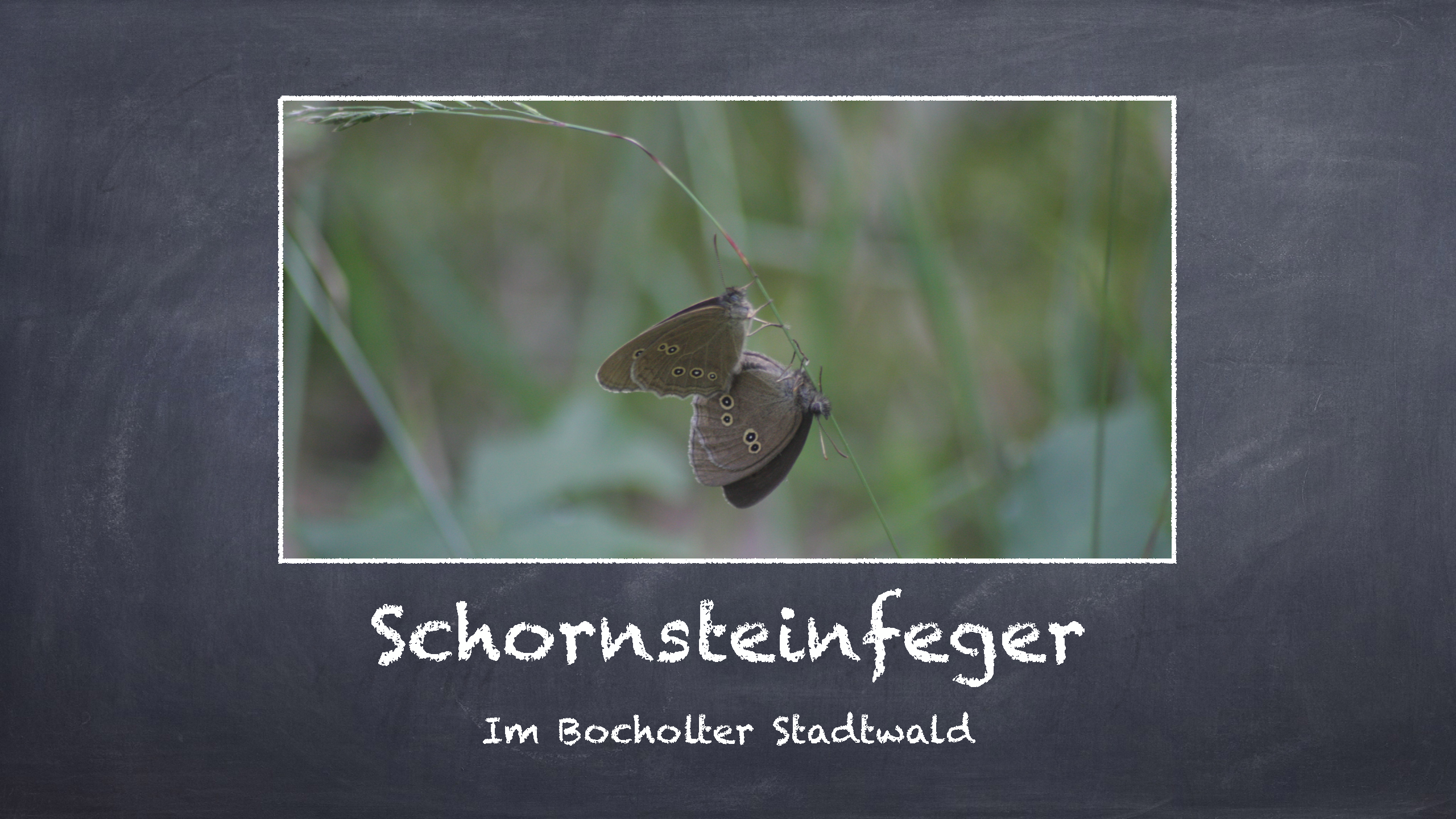 Bild 13 von 16 im Bilderkarussel