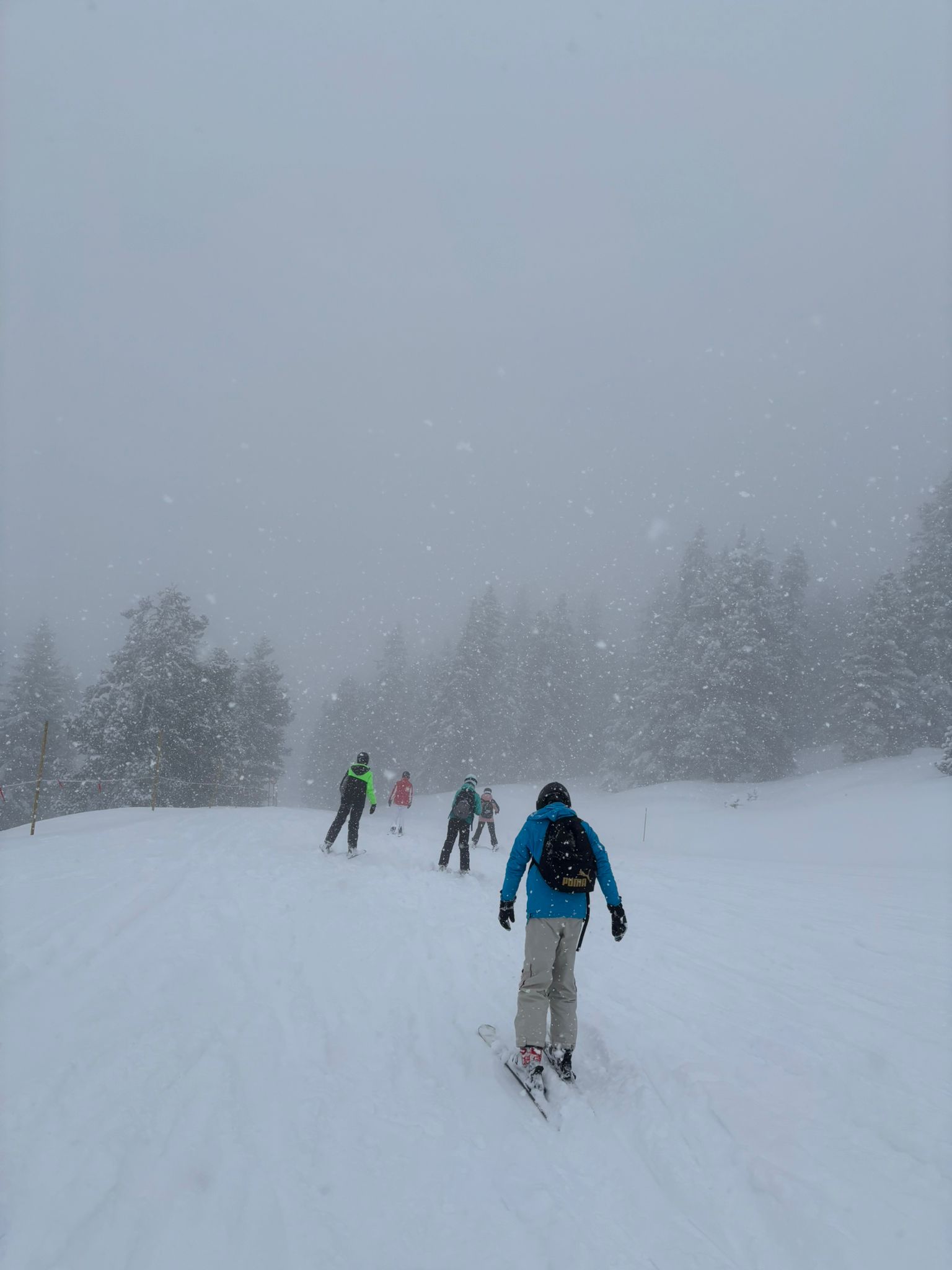 Bild 7 von 8 im Bilderkarussel