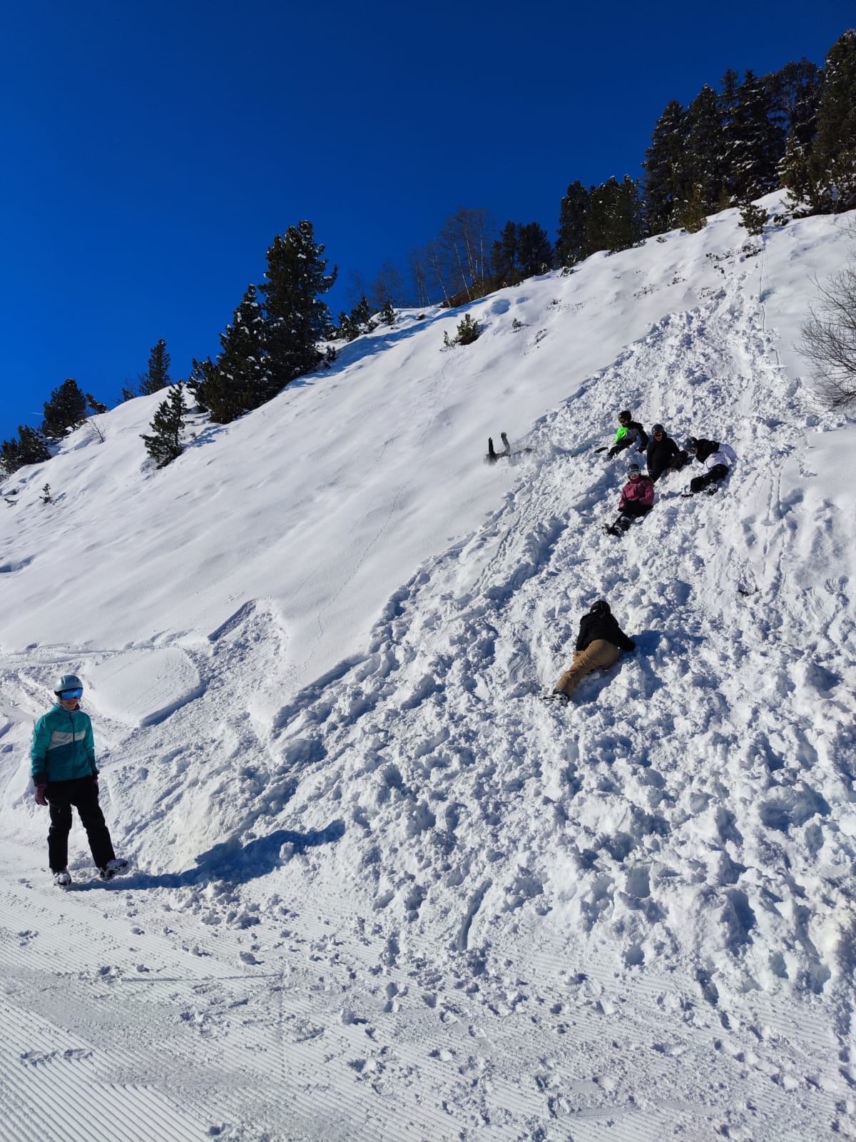 Bild 6 von 8 im Bilderkarussel