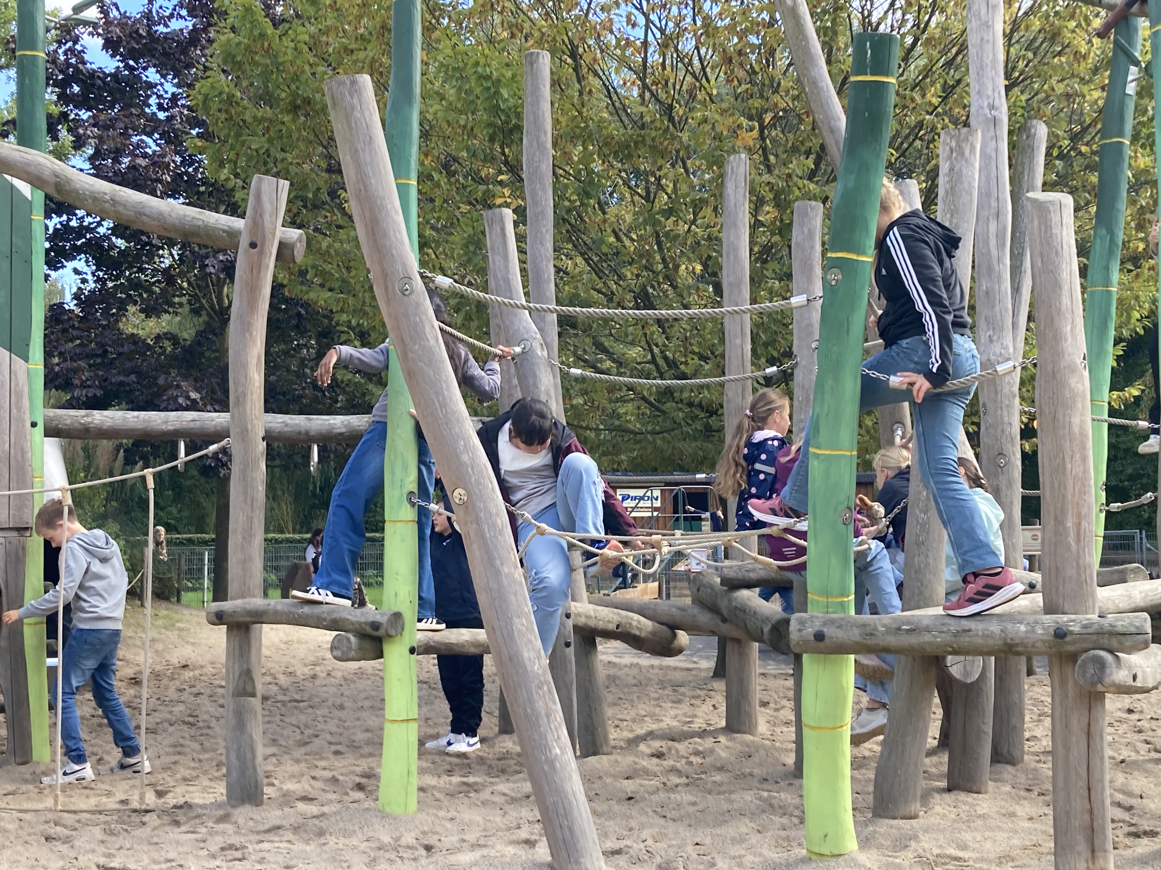 Bild 7 von 10 im Bilderkarussel