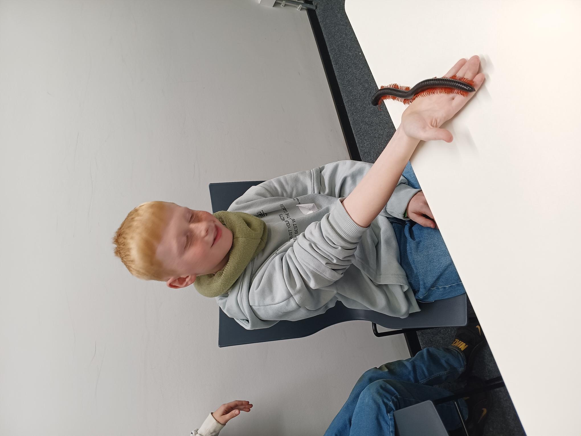 Bild 7 von 9 im Bilderkarussel