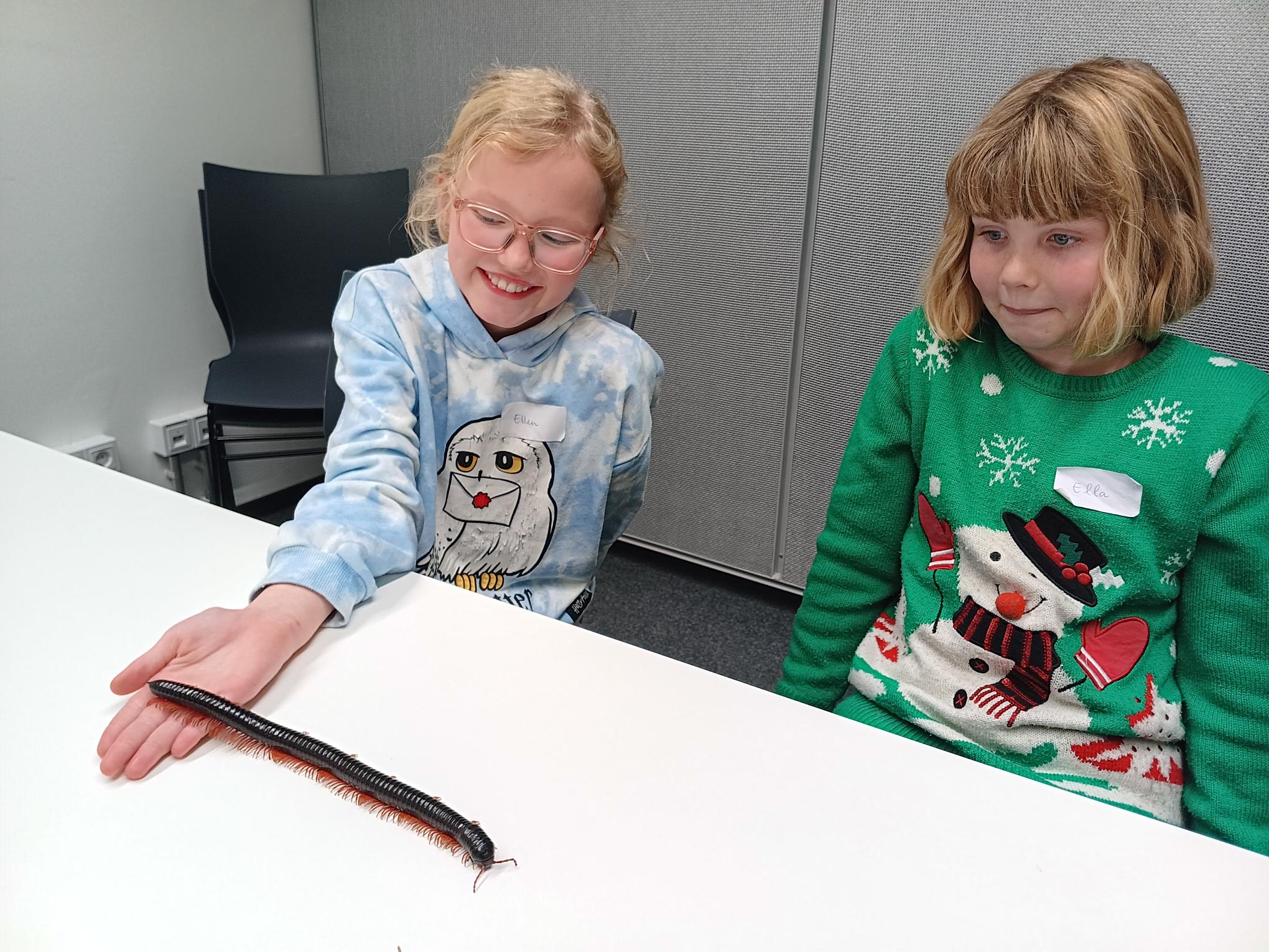 Bild 8 von 9 im Bilderkarussel