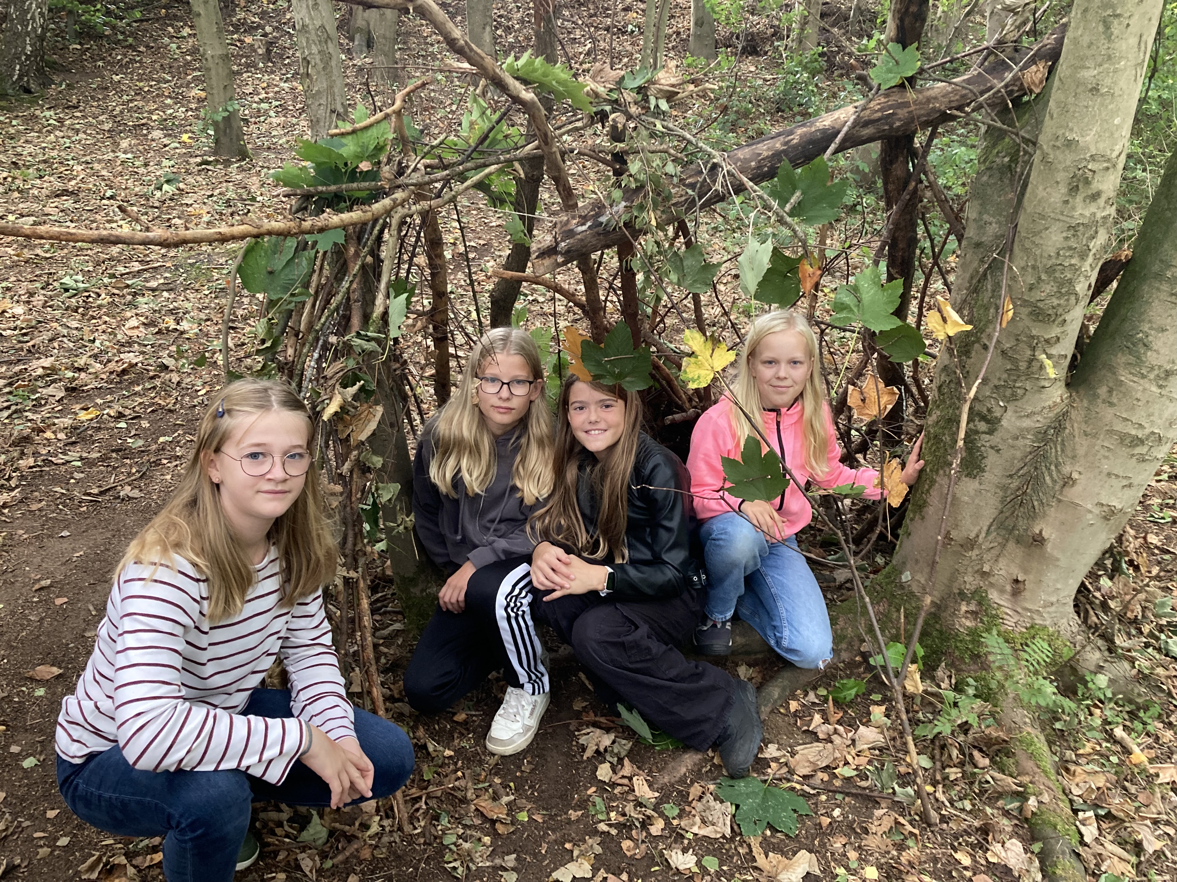 Bild 7 von 12 im Bilderkarussel